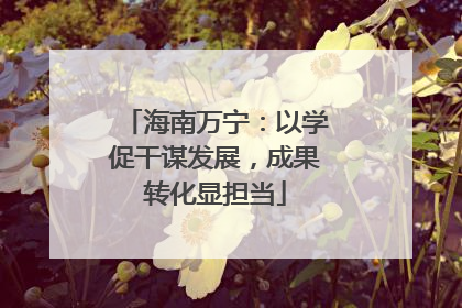 海南万宁：以学促干谋发展，成果转化显担当