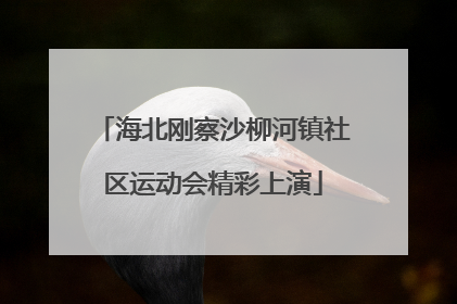 海北刚察沙柳河镇社区运动会精彩上演