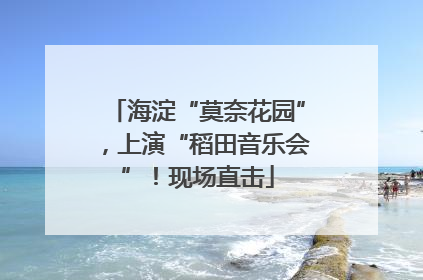 海淀“莫奈花园”，上演“稻田音乐会”！现场直击