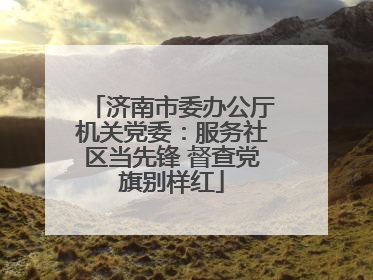 济南市委办公厅机关党委：服务社区当先锋 督查党旗别样红