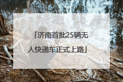 济南首批25辆无人快递车正式上路