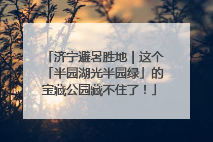 济宁避暑胜地｜这个「半园湖光半园绿」的宝藏公园藏不住了！