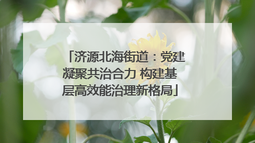 济源北海街道：党建凝聚共治合力 构建基层高效能治理新格局