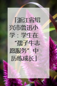 浙江省绍兴市鲁迅小学：学生在“孺子牛志愿服务”中历练成长