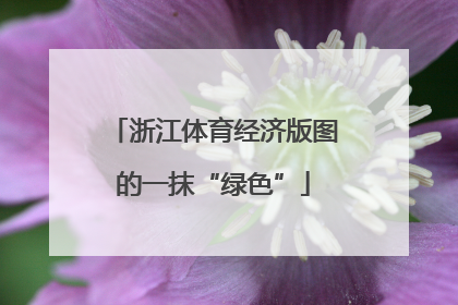 浙江体育经济版图的一抹“绿色”
