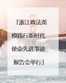 浙江政法英模践行新时代使命先进事迹报告会举行
