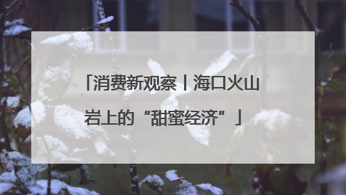 消费新观察丨海口火山岩上的“甜蜜经济”