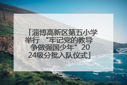 淄博高新区第五小学举行 “牢记党的教导 争做强国少年”2024级分批入队仪式