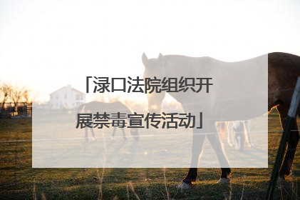 渌口法院组织开展禁毒宣传活动