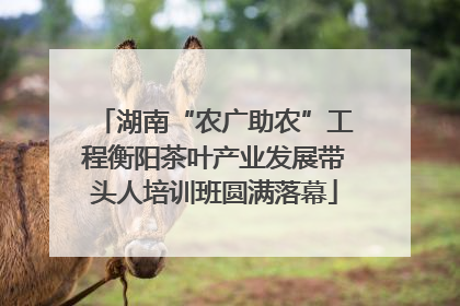 湖南“农广助农”工程衡阳茶叶产业发展带头人培训班圆满落幕