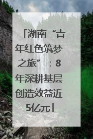 湖南“青年红色筑梦之旅”：8年深耕基层创造效益近5亿元