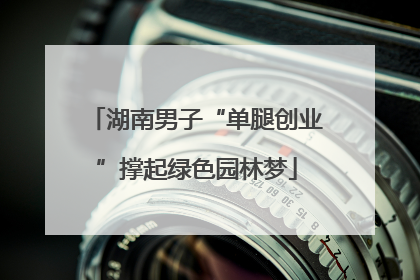 湖南男子“单腿创业”撑起绿色园林梦