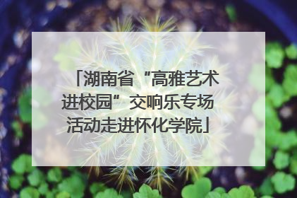 湖南省“高雅艺术进校园”交响乐专场活动走进怀化学院
