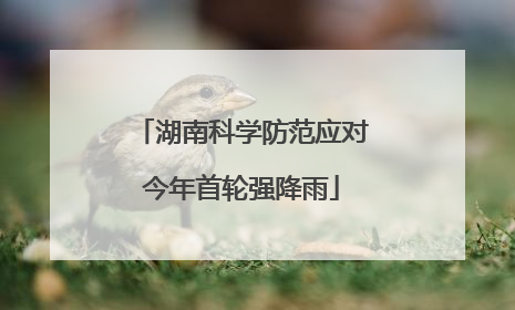 湖南科学防范应对今年首轮强降雨