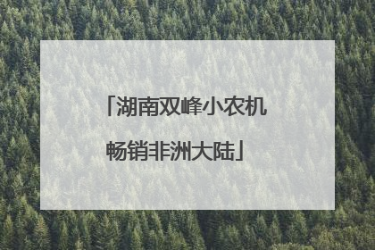 湖南双峰小农机畅销非洲大陆