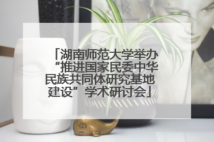 湖南师范大学举办“推进国家民委中华民族共同体研究基地建设”学术研讨会