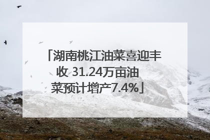 湖南桃江油菜喜迎丰收 31.24万亩油菜预计增产7.4%