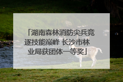 湖南森林消防尖兵竞逐技能巅峰 长沙市林业局获团体一等奖