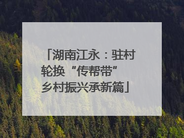 湖南江永：驻村轮换“传帮带” 乡村振兴承新篇
