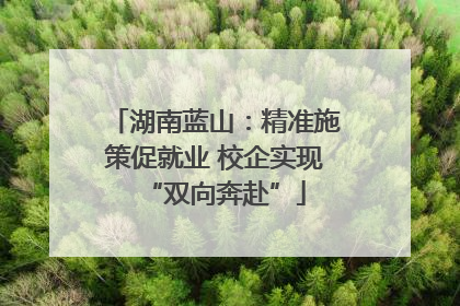 湖南蓝山：精准施策促就业 校企实现“双向奔赴”