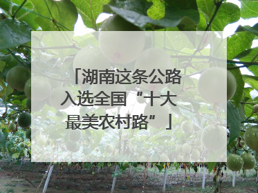 湖南这条公路入选全国“十大最美农村路”