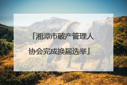 湘潭市破产管理人协会完成换届选举