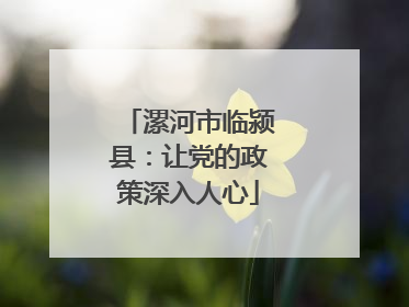 漯河市临颍县：让党的政策深入人心