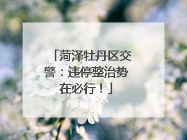 菏泽牡丹区交警：违停整治势在必行！