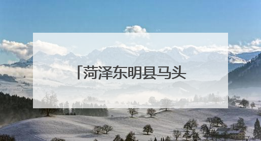 菏泽东明县马头司法所开展民法典进校园活动