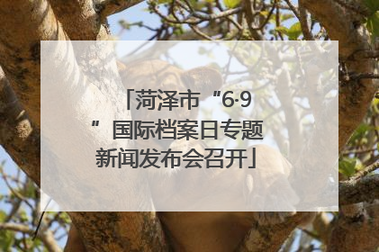 菏泽市“6·9”国际档案日专题新闻发布会召开