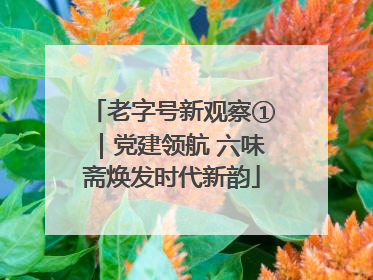 老字号新观察①｜党建领航 六味斋焕发时代新韵
