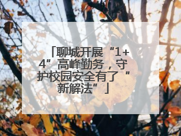 聊城开展“1+4”高峰勤务，守护校园安全有了“新解法”