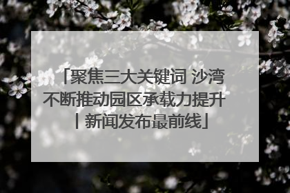 聚焦三大关键词 沙湾不断推动园区承载力提升丨新闻发布最前线