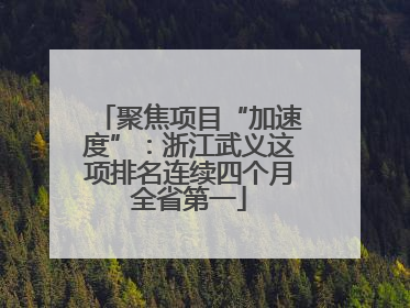 聚焦项目“加速度”：浙江武义这项排名连续四个月全省第一