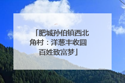 肥城孙伯镇西北角村：洋葱丰收圆百姓致富梦