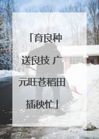 育良种 送良技 广元旺苍稻田插秧忙