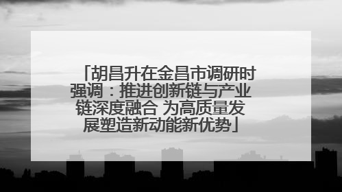 胡昌升在金昌市调研时强调：推进创新链与产业链深度融合 为高质量发展塑造新动能新优势