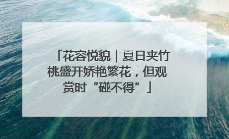 花容悦貌｜夏日夹竹桃盛开娇艳繁花，但观赏时“碰不得”