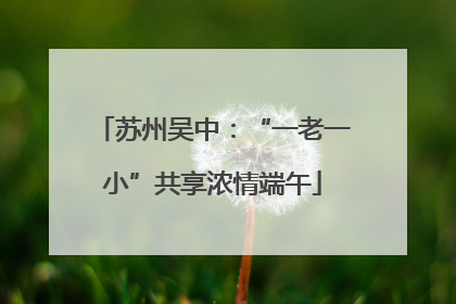 苏州吴中：“一老一小”共享浓情端午
