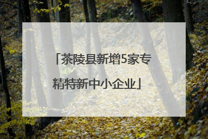 茶陵县新增5家专精特新中小企业