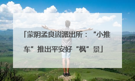 蒙阴孟良崮派出所：“小推车”推出平安好“枫”景