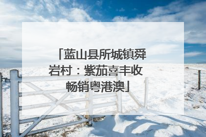 蓝山县所城镇舜岩村：紫茄喜丰收 畅销粤港澳