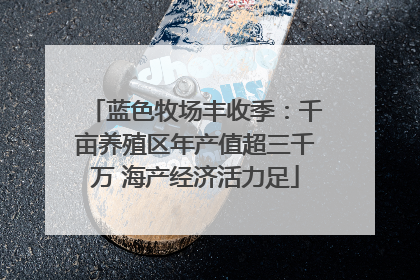 蓝色牧场丰收季：千亩养殖区年产值超三千万 海产经济活力足
