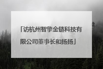访杭州智擎金链科技有限公司董事长和扬扬