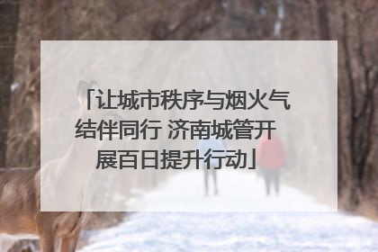 让城市秩序与烟火气结伴同行 济南城管开展百日提升行动