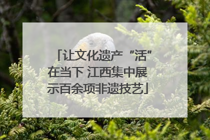 让文化遗产“活”在当下 江西集中展示百余项非遗技艺