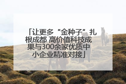 让更多“金种子”扎根成都 高价值科技成果与300余家优质中小企业精准对接