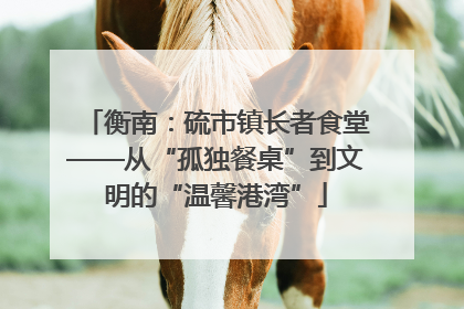 衡南：硫市镇长者食堂——从“孤独餐桌”到文明的“温馨港湾”