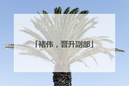 褚伟，晋升副部