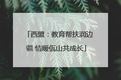 西盟：教育帮扶润边疆 情暖佤山共成长